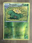 Skiploom