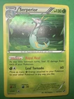 Snivy
