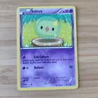 Solosis