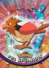 Spearow