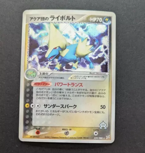 Team Aqua's Manectric