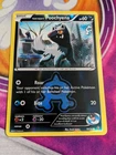Team Aqua's Poochyena