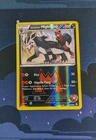 Team Magma's Mightyena