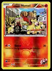Team Magma's Numel