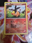 Tepig