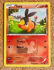 Tepig