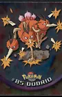 Dodrio