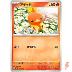 Torchic