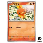Torchic