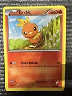 Torchic