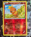 Torchic