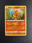 Torchic