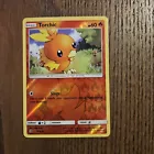 Torchic