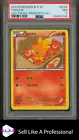 Torchic