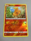 Torchic