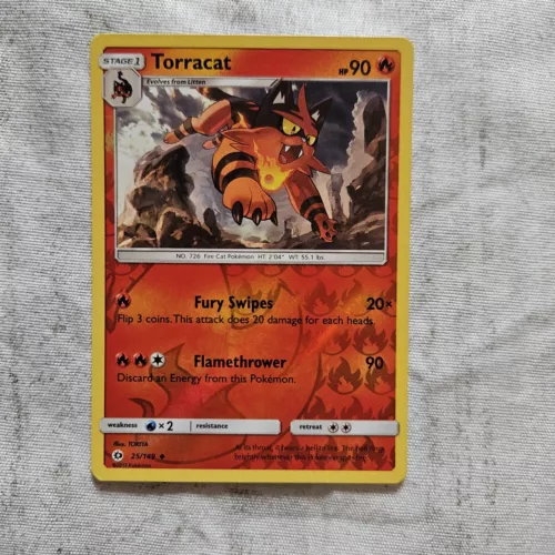 Torracat