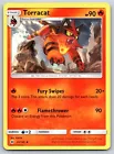 Torracat