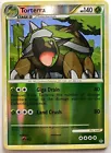Torterra