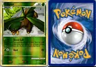 Tropius