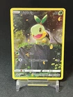 Turtwig