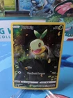 Turtwig