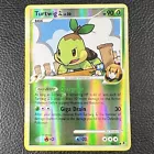 Turtwig GL