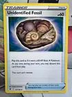 Unidentified Fossil