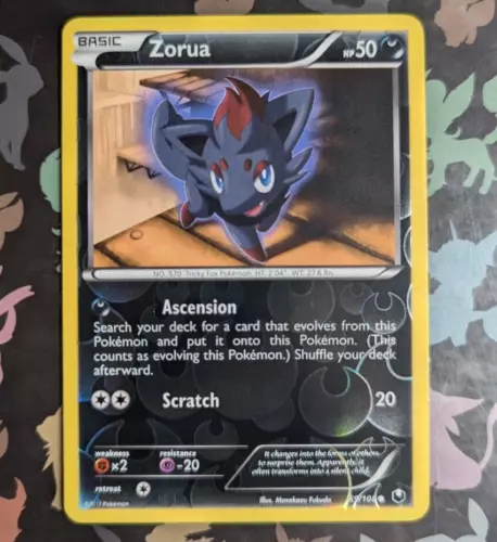Zorua