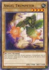 Angel Trumpeter
