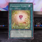 Fragrance Storm