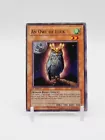 An Owl of Luck