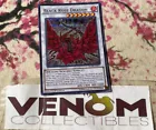 Black Rose Dragon