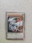 Cosmic Blazar Dragon
