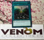 Monster Reborn Reborn