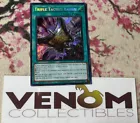 Triple Tactics Talent