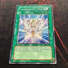 Transcendent Wings