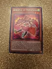 Disciple of Nephthys