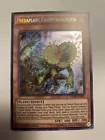 Predaplant Chlamydosundew