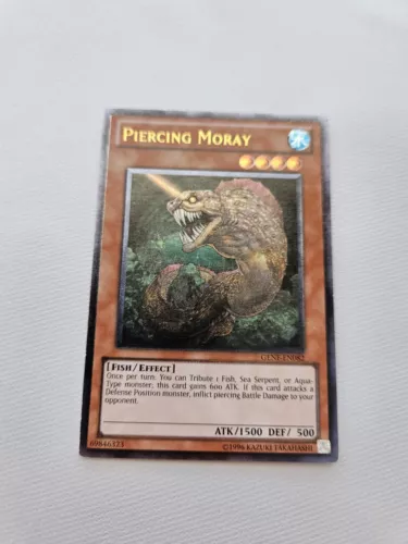 Piercing Moray