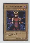 Succubus Knight