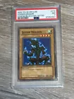 Lesser Dragon