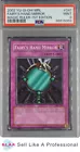 Fairy's Hand Mirror
