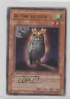 An Owl of Luck