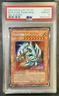 Lightpulsar Dragon