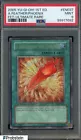 A Feather of the Phoenix