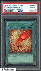 A Feather of the Phoenix