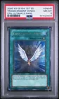 Transcendent Wings