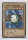 Shining Friendship