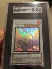 Black Rose Dragon