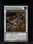 Red Nova Dragon